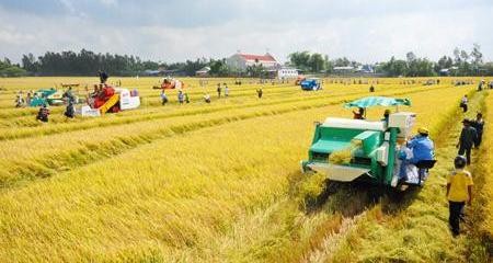 10 years of agricultural and forestry farm renovation reviewed - ảnh 1